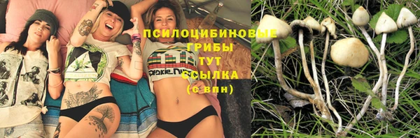 не бодяженный Армянск